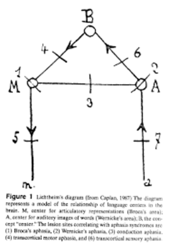 Primer modelo de explicación de las afasias