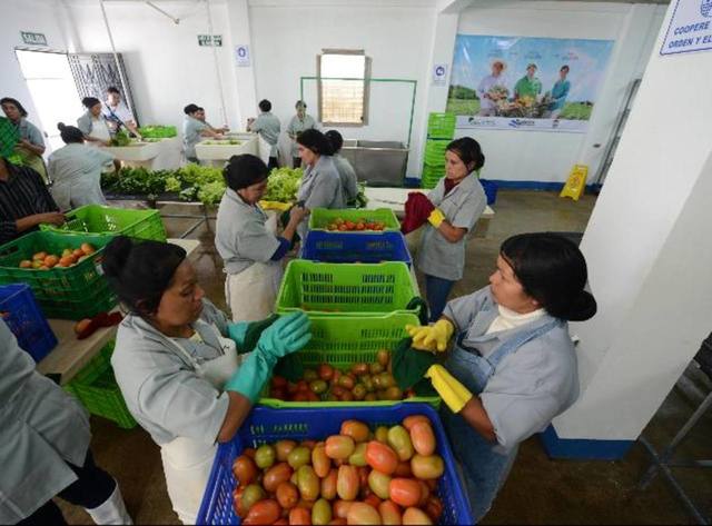 Periodo de descubrimiento