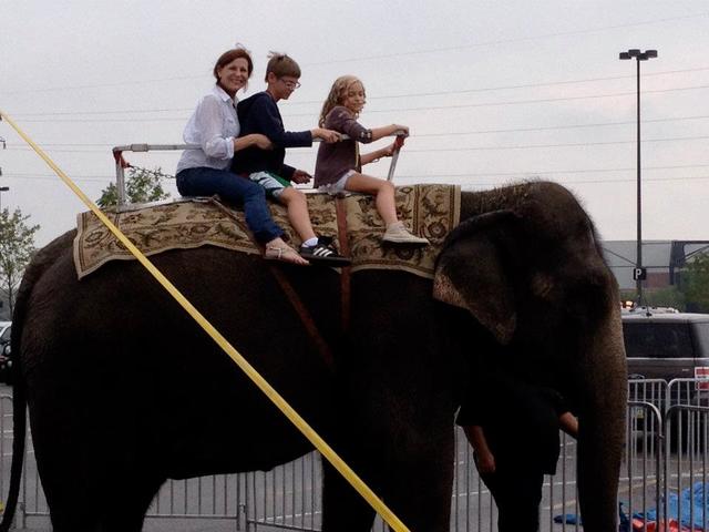 Rode an Elephant