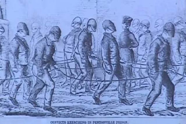 Convicts and free settlers