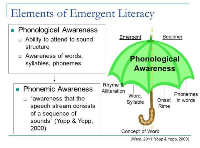 Emergent Literacy
