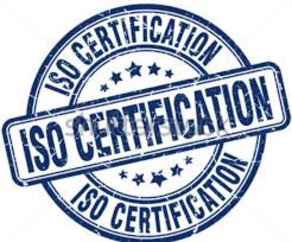 Organización mundial