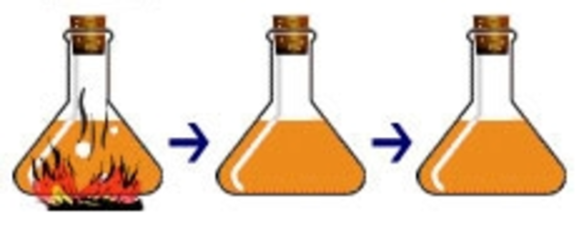 Generación Espontánea A Favor