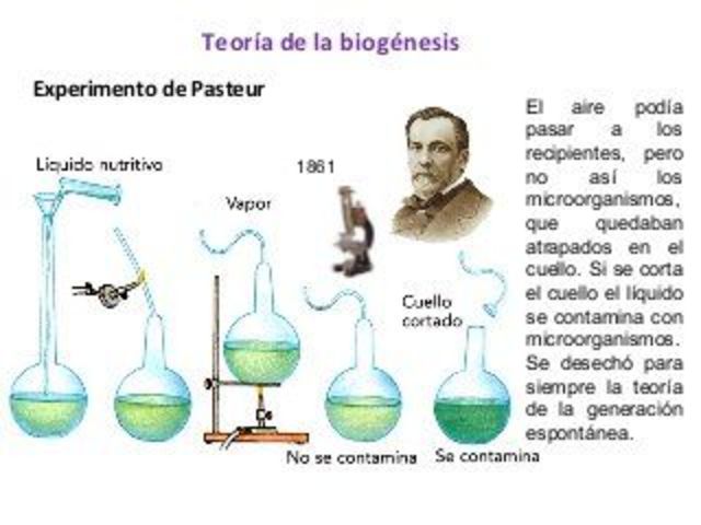 Teoría Biogénesis
