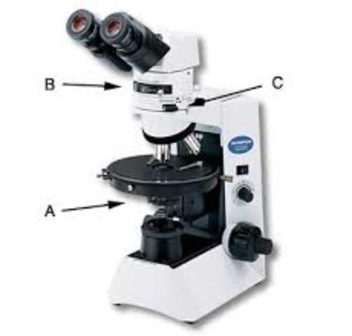 Polarized Microscope