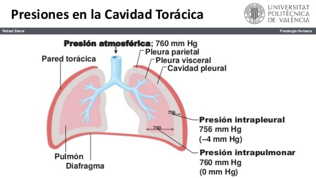 PRESIÓN RESPIRATORIA
