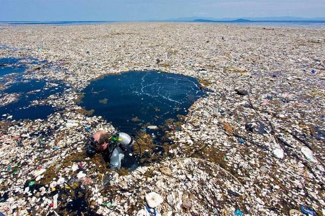 Isla de basura del Pacífico