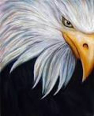 Painting an eagle