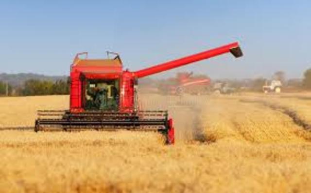 Segador de trigo mecánico