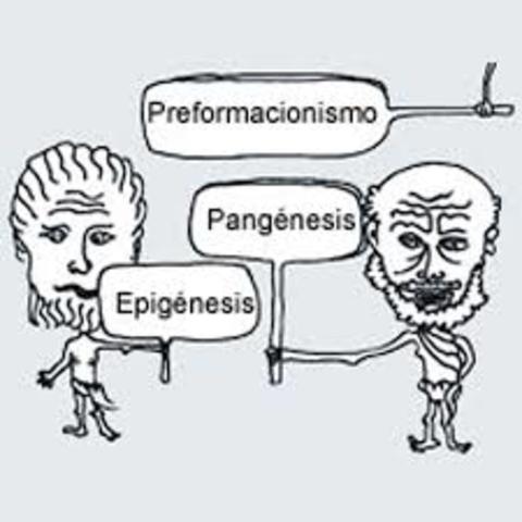 El epigenetismo