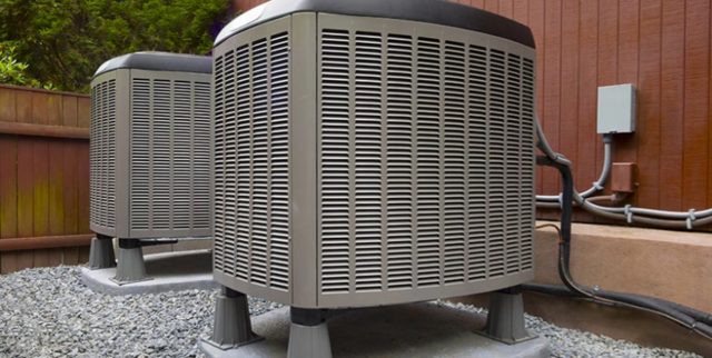 Larry's great papaw was born