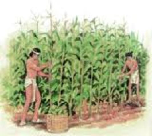 Diversos Tipos de Tierras