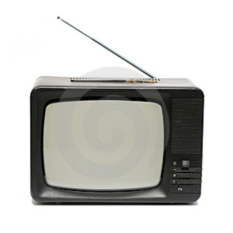 The T.V