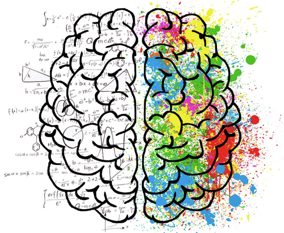 Hemisferios cerebrales