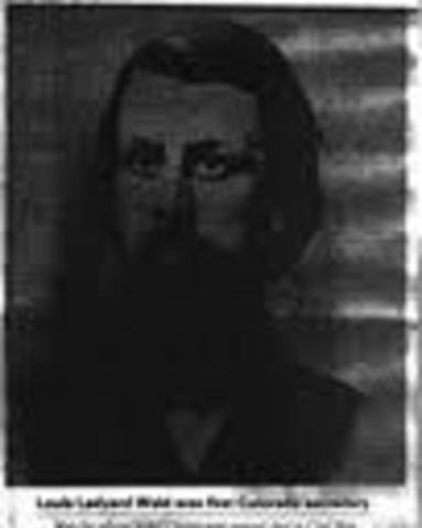 Distribución de mercado