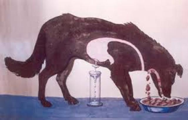 Pavlov y su reflejo del conducto alimenticio