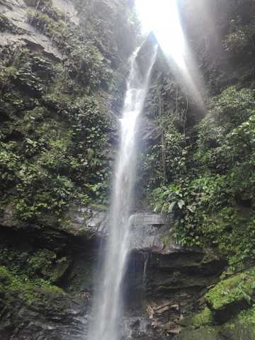 Cataratas de Ahuashiyacu