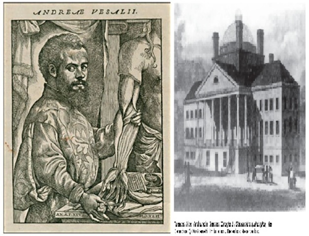 Andreas Vesalius (1514-1564).