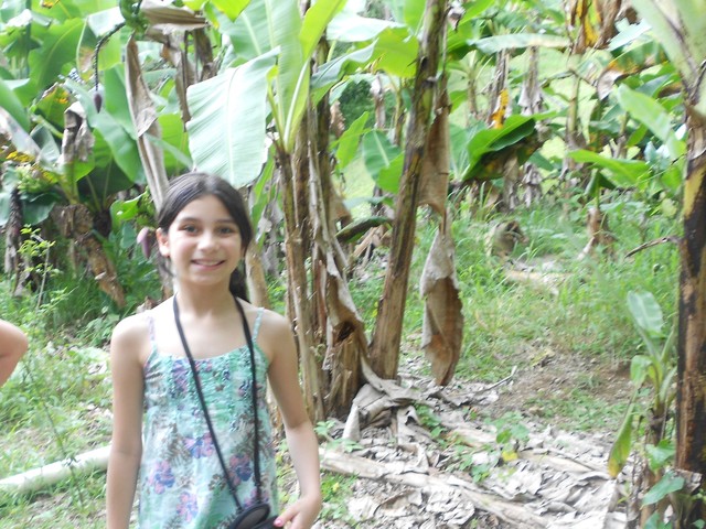 The Puerto Rico Trip