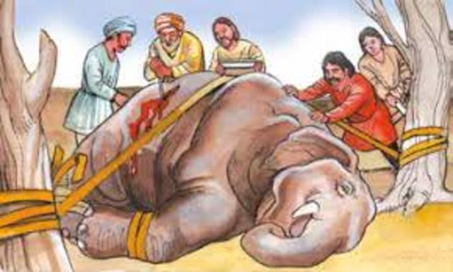 La elefantología de Palakapya