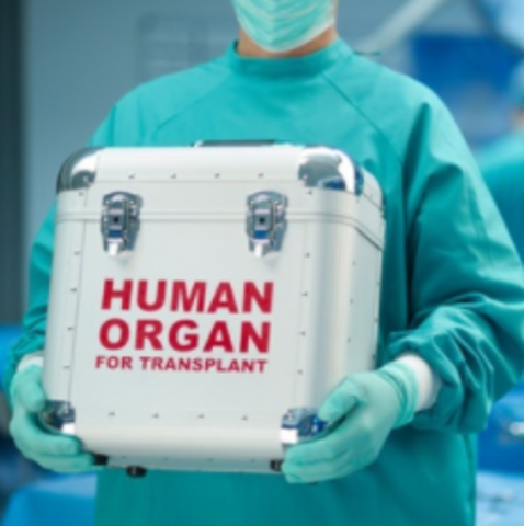 Organ Transplants