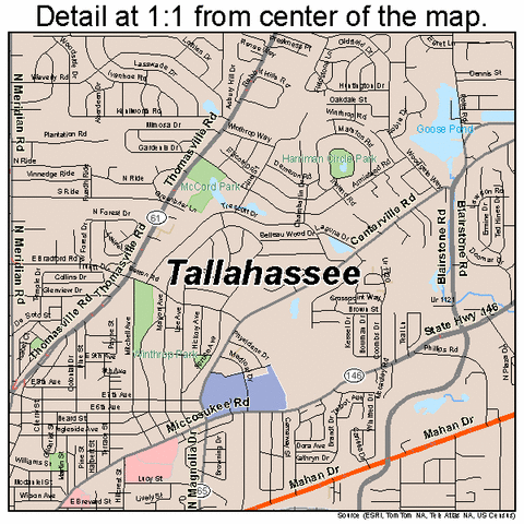 Yo mudé desde Atlanta, Georgia a Tallahassee cuando tenía doce meses.