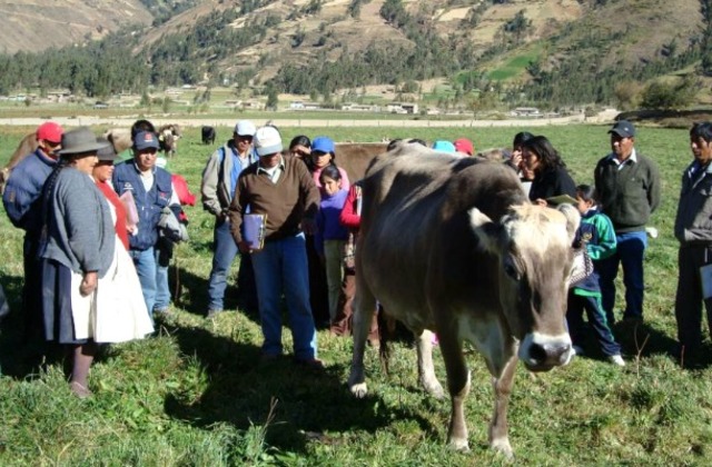 veterinarios rurales