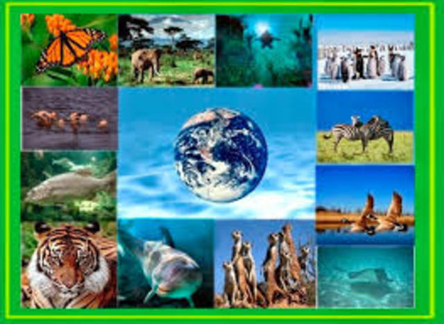 Estrategia Mundial para la Conservación