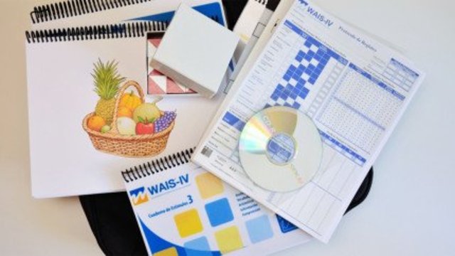 TEST DE INTELIGENCIA WECHSLER-BELLEVUE