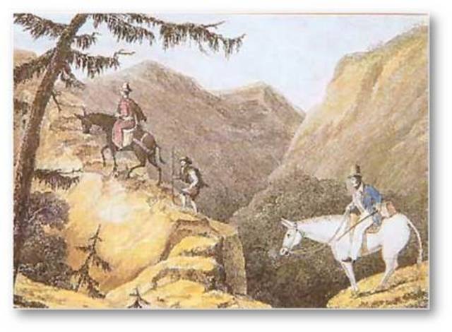 El caballo y el camino