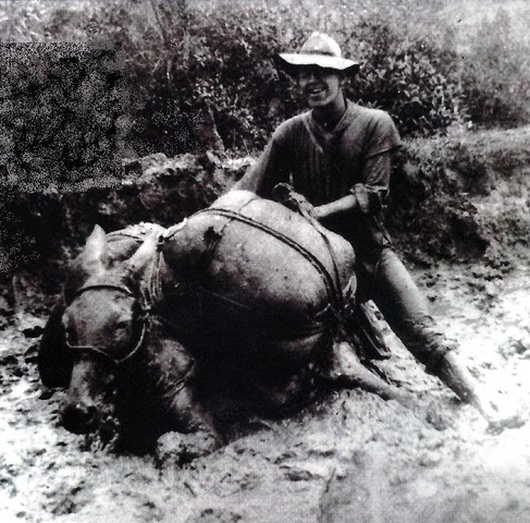 Dificultades en el camino