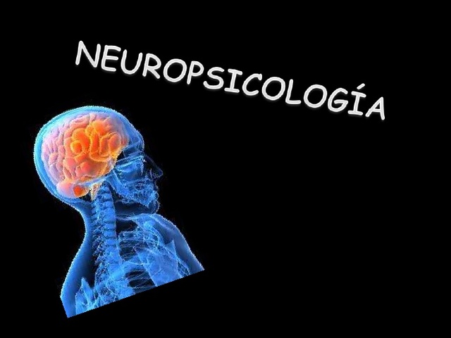 Neuropsicologia