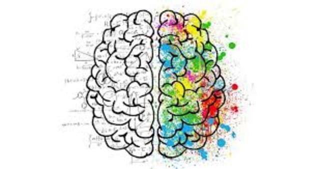 objetivos del enfoque de la neuropsicología cognoscitiva