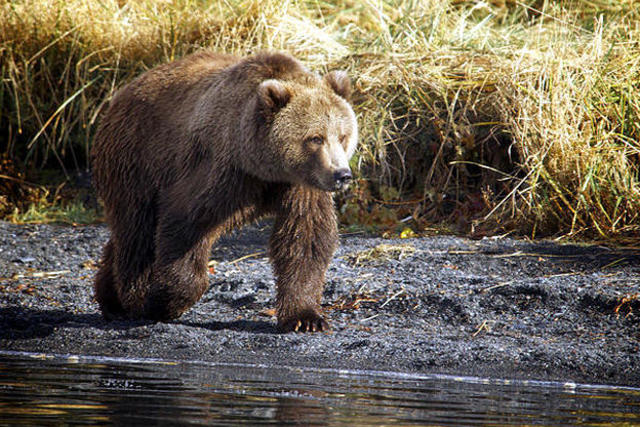 North America was discovered