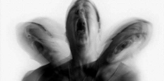 Teoría sobre esquizofrenia, Bustamante