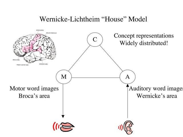 "LA CASITA DE LITCHEIM-WERNICKE"