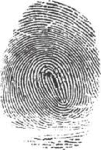 Fingerprinting