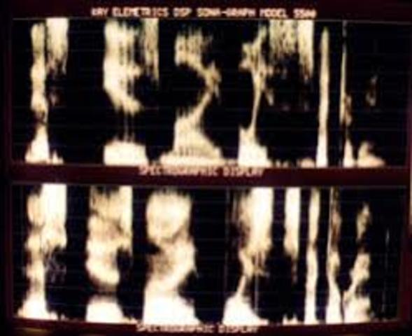 Voiceprint identification