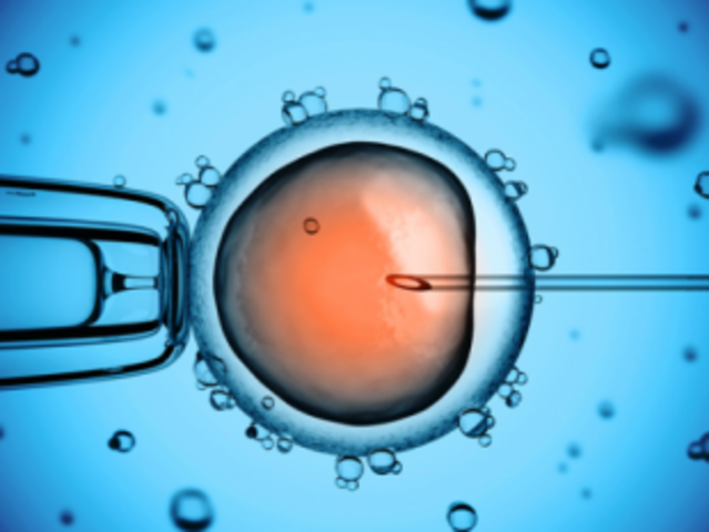Scientists clone Human STEM cells