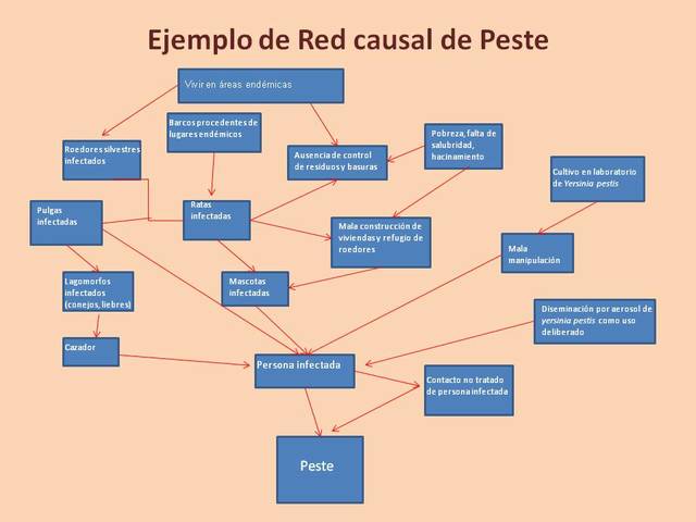 Red de casualidad