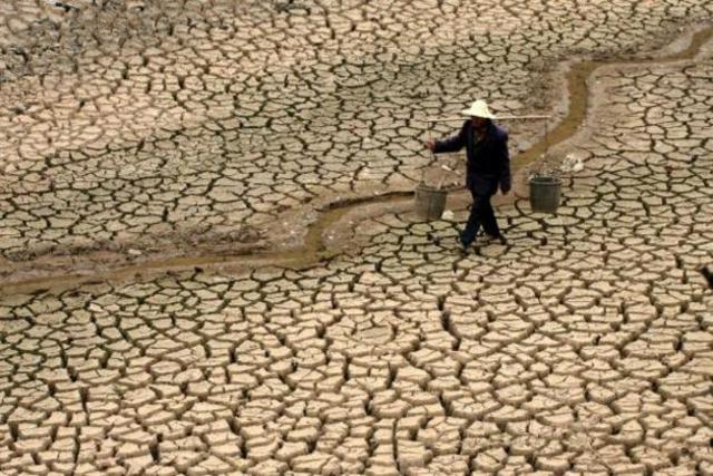 Desastres naturales en 2010