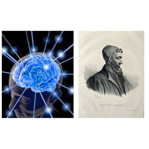 CLAUDIO GALENO DE PÉRGAMO (129-199 a.C)