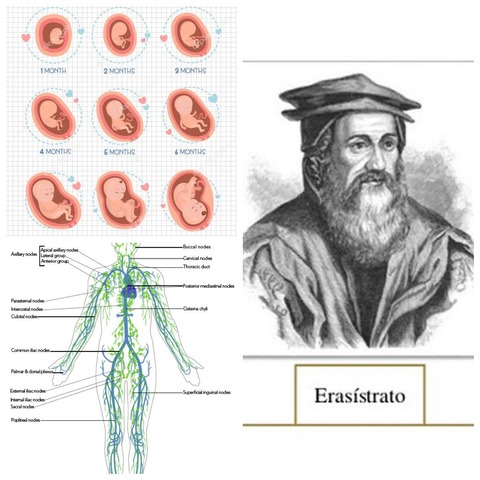 ERASISTRATO (304-250 a.C)