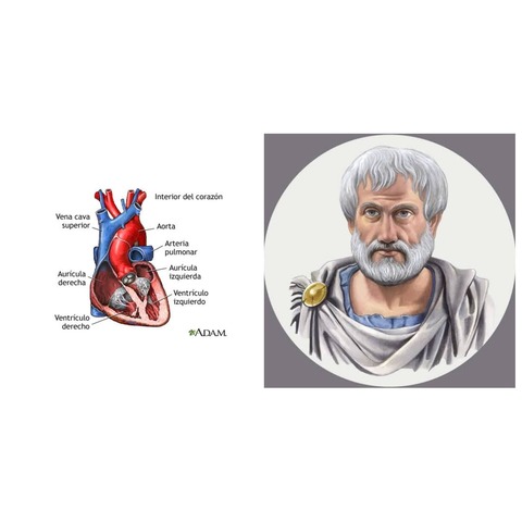 ARISTÓTELES (384- 222 a.C)