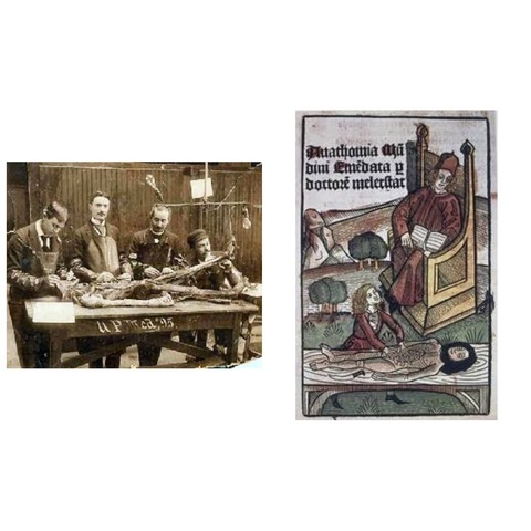 MONDINO DE LUZZI (1275-1326)