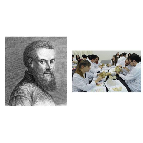 GIROLOMO FABRIZ D' ACQUAPENDENTE (1533-1619)