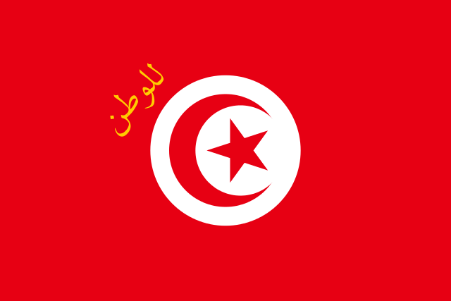 Free voting in Tunisia