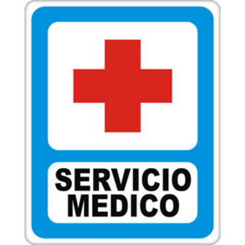 Aparición de servicios médicos en las empresas siderúrgicas, metalúrgicas y ferrocarril con mayor impacto en Alemania