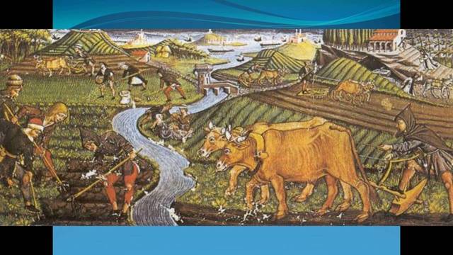 REVOLUCIÓN AGRÍCOLA