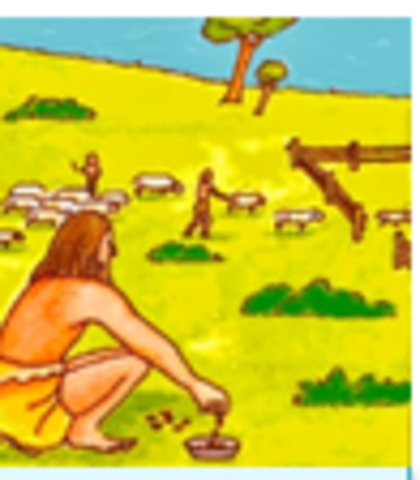 PRIMEROS INICIOS DE LAS MATEMATICAS